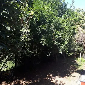 Affittacamere La Casa Di Mango E Pistacchio, Segrate
